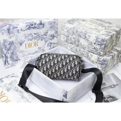 Dior Bags AAA 015